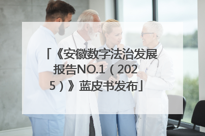 《安徽数字法治发展报告NO.1（2025）》蓝皮书发布