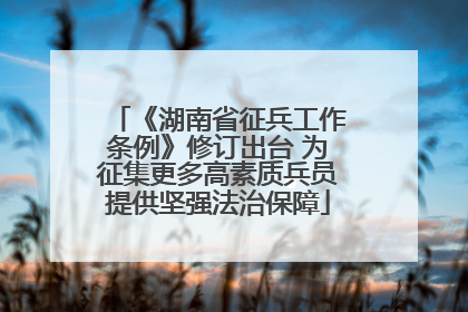 《湖南省征兵工作条例》修订出台 为征集更多高素质兵员提供坚强法治保障