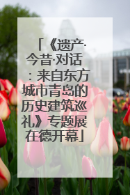 《遗产·今昔·对话：来自东方城市青岛的历史建筑巡礼》专题展在德开幕
