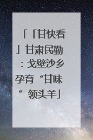 「甘快看」甘肃民勤：戈壁沙乡孕育“甘味”领头羊