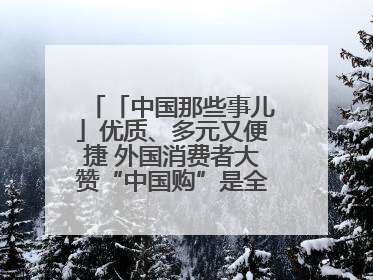 「中国那些事儿」优质、多元又便捷 外国消费者大赞“中国购”是全新体验！
