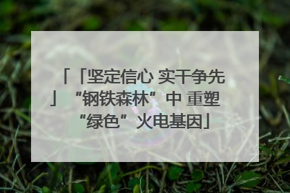「坚定信心 实干争先」“钢铁森林”中 重塑“绿色”火电基因