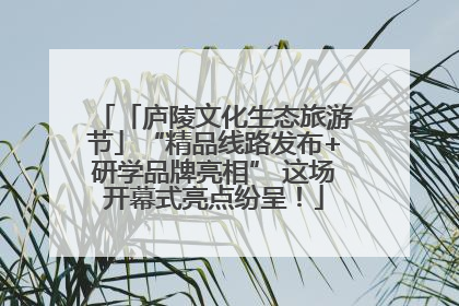「庐陵文化生态旅游节」“精品线路发布+研学品牌亮相” 这场开幕式亮点纷呈！