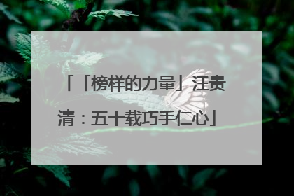 「榜样的力量」汪贵清：五十载巧手仁心