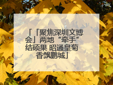 「聚焦深圳文博会」两地“牵手”结硕果 昭通皇菊香飘鹏城