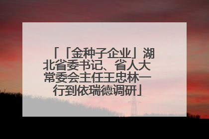 「金种子企业」湖北省委书记、省人大常委会主任王忠林一行到依瑞德调研