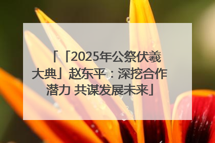 「2025年公祭伏羲大典」赵东平：深挖合作潜力 共谋发展未来