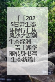 「2025甘肃生态环保行」从风沙之源到生态绿洲——青土湖华丽转身书写生态新篇