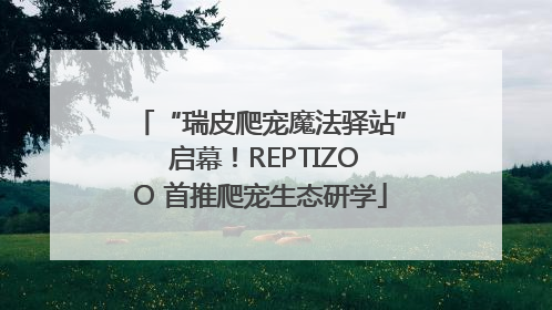 “瑞皮爬宠魔法驿站” 启幕！REPTIZOO 首推爬宠生态研学