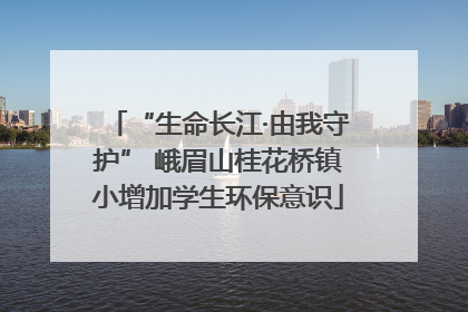 “生命长江·由我守护” 峨眉山桂花桥镇小增加学生环保意识