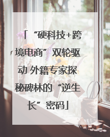 “硬科技+跨境电商”双轮驱动 外籍专家探秘碑林的“逆生长”密码
