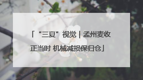 “三夏”视觉｜孟州麦收正当时 机械减损保归仓