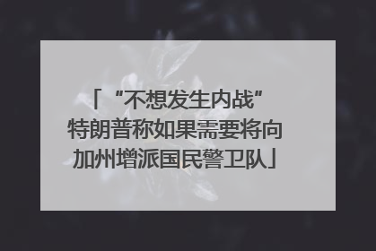 “不想发生内战” 特朗普称如果需要将向加州增派国民警卫队
