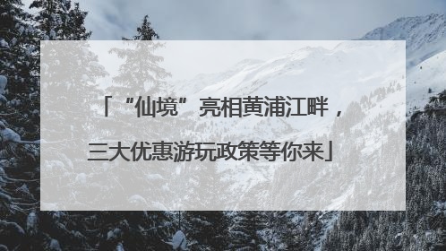 “仙境”亮相黄浦江畔，三大优惠游玩政策等你来
