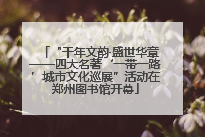 “千年文韵·盛世华章——四大名著‘一带一路’城市文化巡展”活动在郑州图书馆开幕