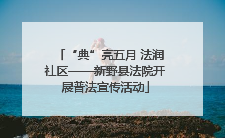 “典”亮五月 法润社区——新野县法院开展普法宣传活动