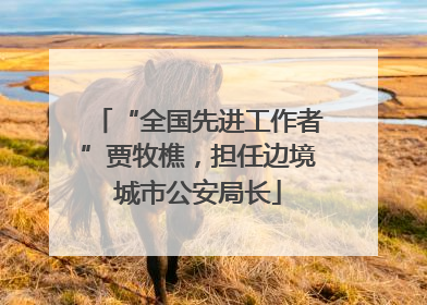 “全国先进工作者”贾牧樵，担任边境城市公安局长