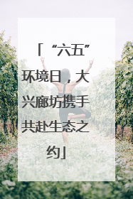 “六五”环境日，大兴廊坊携手共赴生态之约