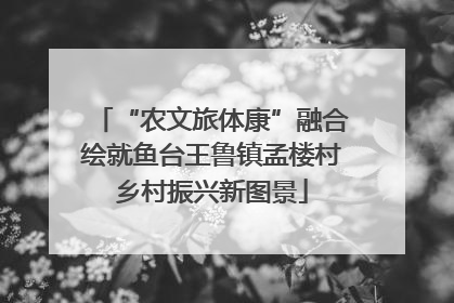 “农文旅体康”融合绘就鱼台王鲁镇孟楼村乡村振兴新图景
