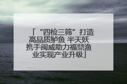 “四检三筛”打造高品质鲈鱼 半天妖携手闽威助力福鼎渔业实现产业升级