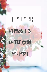“土”出科技感！3D打印点燃毕业季
