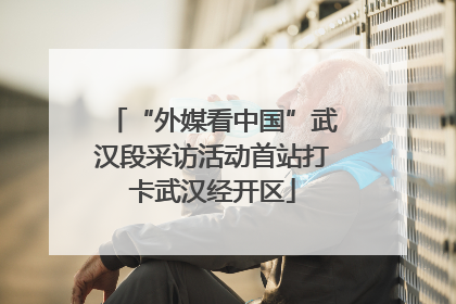 “外媒看中国”武汉段采访活动首站打卡武汉经开区