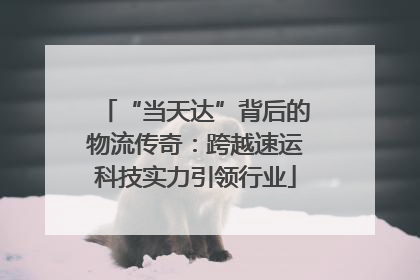“当天达”背后的物流传奇：跨越速运科技实力引领行业
