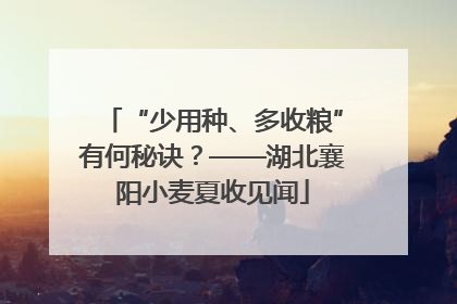 “少用种、多收粮”有何秘诀？——湖北襄阳小麦夏收见闻