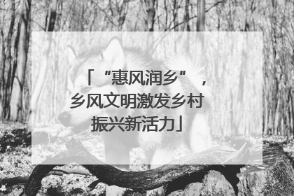 “惠风润乡”，乡风文明激发乡村振兴新活力