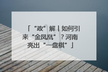 “政”解丨如何引来“金凤凰”？河南亮出“一盘棋”