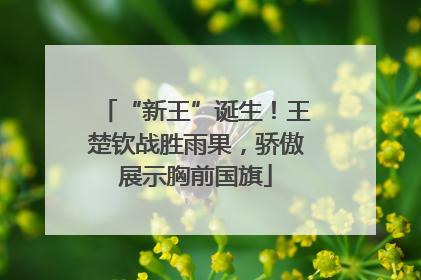 “新王”诞生！王楚钦战胜雨果，骄傲展示胸前国旗
