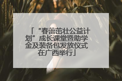 “春蕾茁壮公益计划”成长课堂暨助学金及装备包发放仪式在广西举行