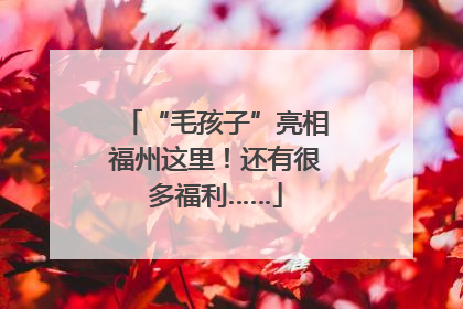 “毛孩子”亮相福州这里！还有很多福利……