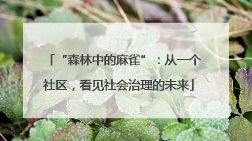 “森林中的麻雀”：从一个社区，看见社会治理的未来