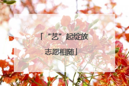“艺”起绽放 志愿相随