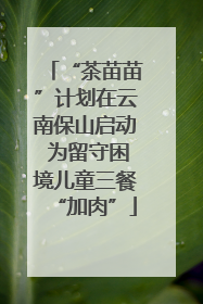 “茶苗苗”计划在云南保山启动 为留守困境儿童三餐“加肉”