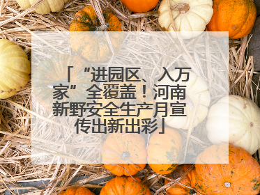 “进园区、入万家”全覆盖！河南新野安全生产月宣传出新出彩