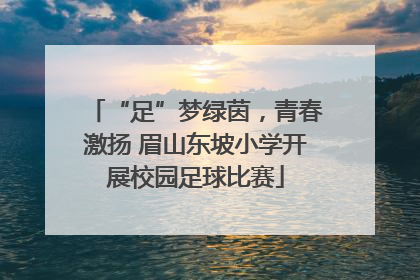 “足”梦绿茵，青春激扬 眉山东坡小学开展校园足球比赛