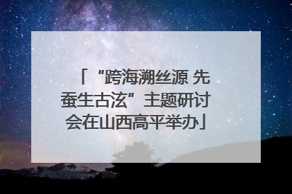“跨海溯丝源 先蚕生古泫”主题研讨会在山西高平举办