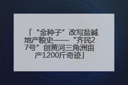 “金种子”改写盐碱地产粮史——“齐民27号”创黄河三角洲亩产1200斤奇迹