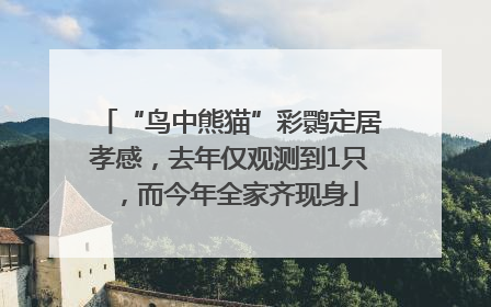 “鸟中熊猫”彩鹮定居孝感，去年仅观测到1只，而今年全家齐现身