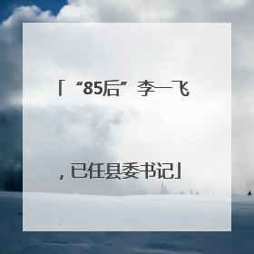 “85后”李一飞，已任县委书记