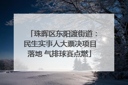 珠晖区东阳渡街道：民生实事人大票决项目落地 气排球赛点燃