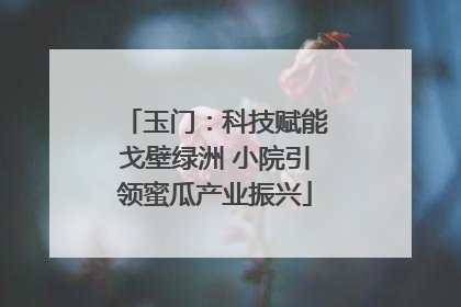 玉门：科技赋能戈壁绿洲 小院引领蜜瓜产业振兴