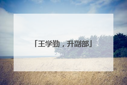 王学勤，升副部