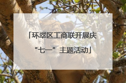 环翠区工商联开展庆“七一”主题活动