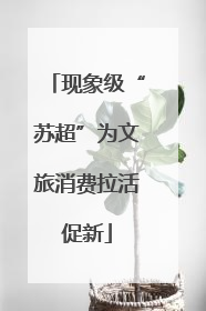 现象级“苏超”为文旅消费拉活促新