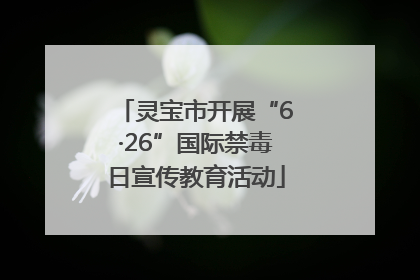 灵宝市开展“6·26”国际禁毒日宣传教育活动