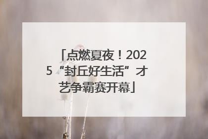 点燃夏夜！2025“封丘好生活”才艺争霸赛开幕