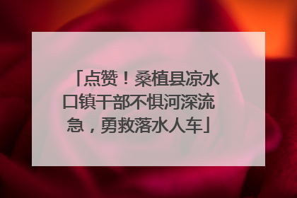 点赞！桑植县凉水口镇干部不惧河深流急，勇救落水人车